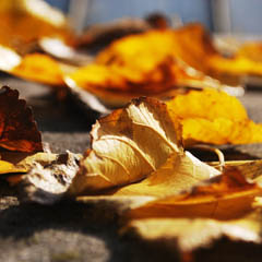 ddos攻击在哪能买到